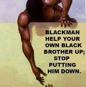 Meet your Posher, Norman